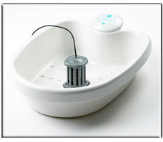 footbath Detox Foot Baths