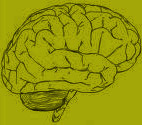 brain1 brain